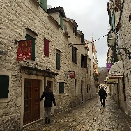 Toni Trogir